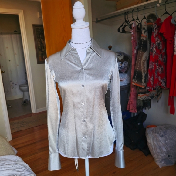 Silver Satin Button Up - Picture 6 of 7
